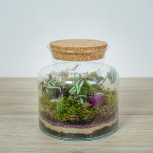 las-w-sloiku