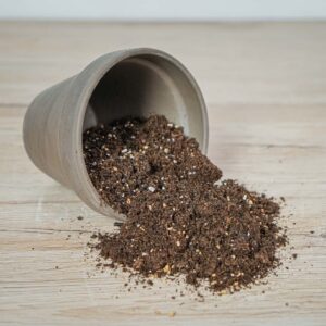podloze-mieszanka-do-aglaonemy-17l-zestaw-diy