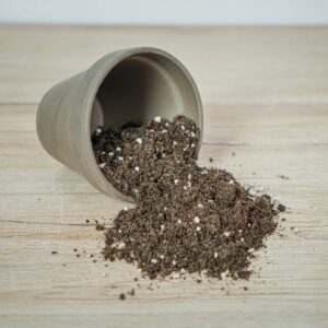 podloze-mieszanka-do-bananowcow-skrzydlokwiatow-i-palm-13l-zestaw-diy
