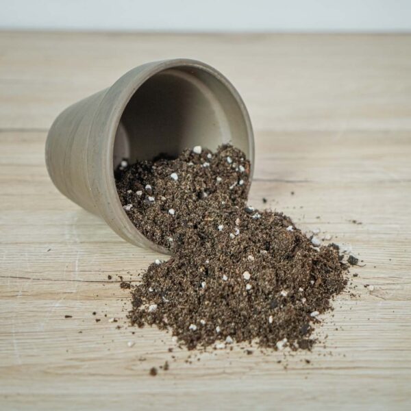 podloze-mieszanka-do-bananowcow-skrzydlokwiatow-i-palm-13l-zestaw-diy