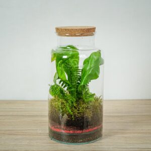 las-w-sloiku