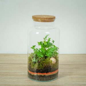 las-w-sloiku