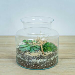las-w-sloiku-pustynia