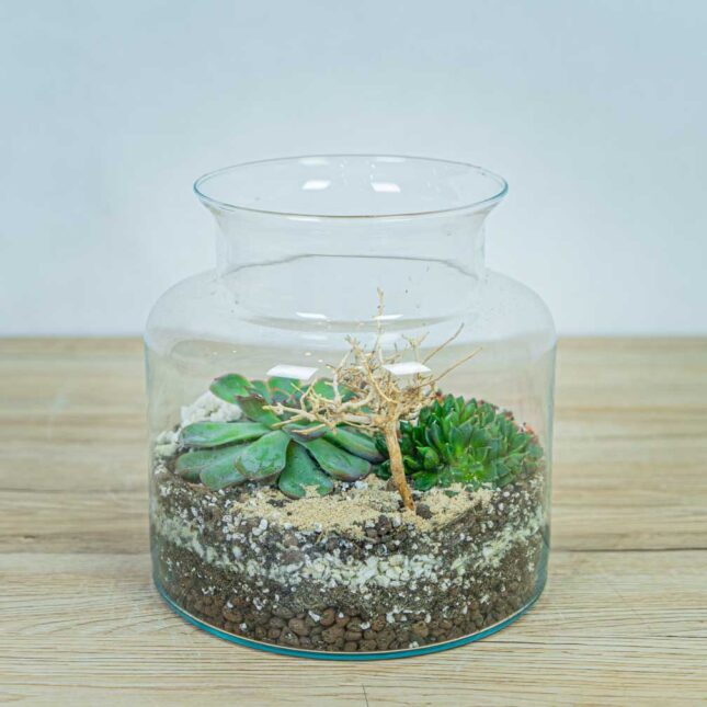 las-w-sloiku-pustynia las-w-sloiku-pustynia