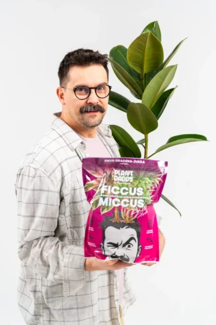 ficcus-1-600x900 ficcus-1-600x900