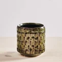 Osłonka stian moss green baby 7x7 cm
