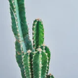MS181k_0014_MS18 14