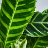 MS201k_0048_MS20 48